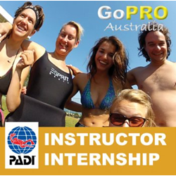 Padi Instructor  Internship